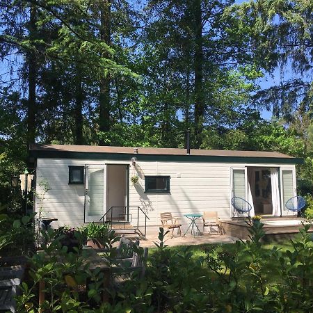 Sfeervol Vakantiehuisje In Bosrijke Omgeving Vorden Extérieur photo