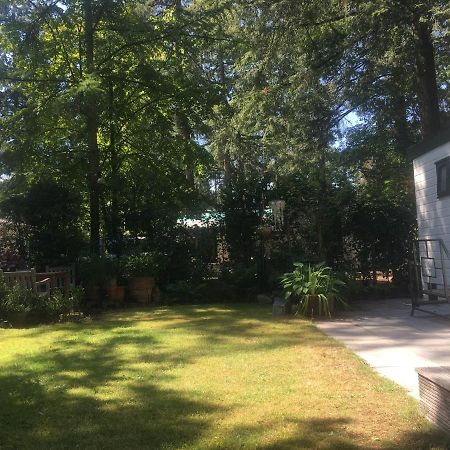 Sfeervol Vakantiehuisje In Bosrijke Omgeving Vorden Extérieur photo