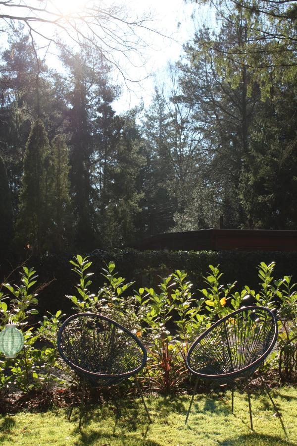 Sfeervol Vakantiehuisje In Bosrijke Omgeving Vorden Extérieur photo