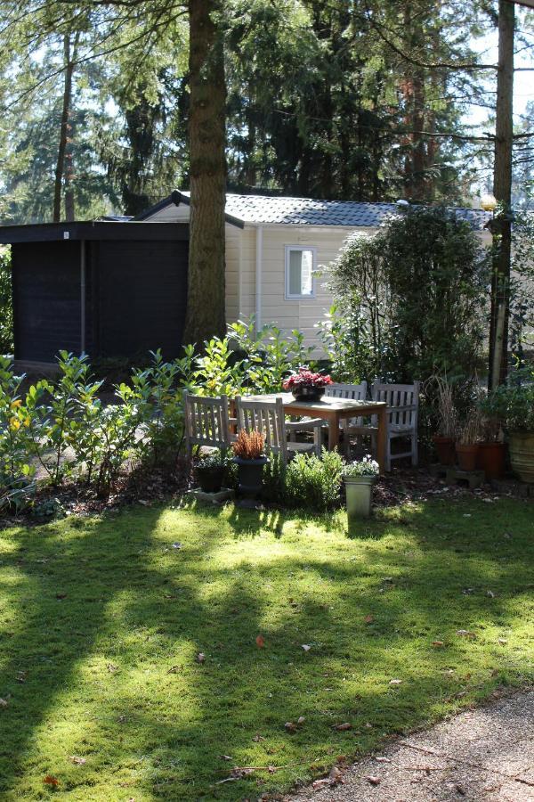 Sfeervol Vakantiehuisje In Bosrijke Omgeving Vorden Extérieur photo