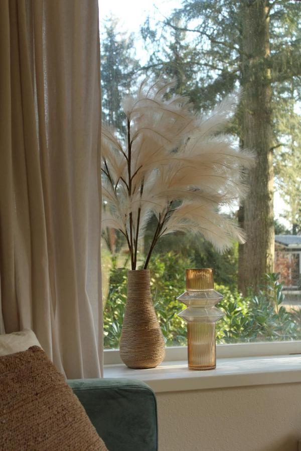 Sfeervol Vakantiehuisje In Bosrijke Omgeving Vorden Extérieur photo