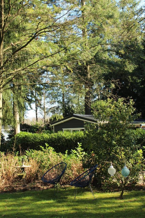 Sfeervol Vakantiehuisje In Bosrijke Omgeving Vorden Extérieur photo