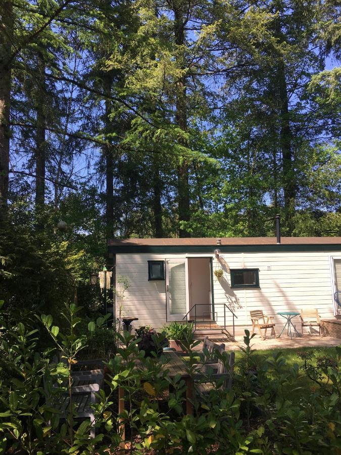 Sfeervol Vakantiehuisje In Bosrijke Omgeving Vorden Extérieur photo