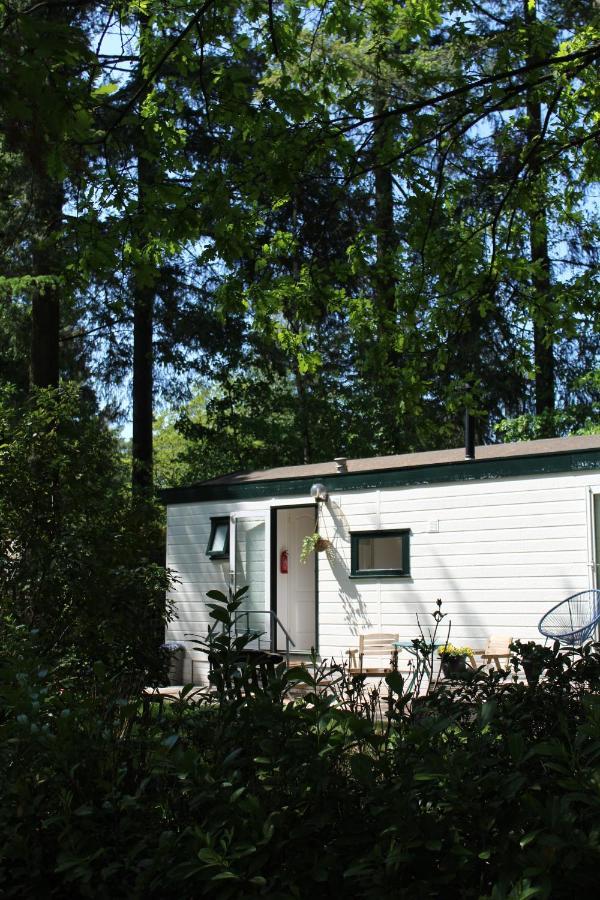 Sfeervol Vakantiehuisje In Bosrijke Omgeving Vorden Extérieur photo