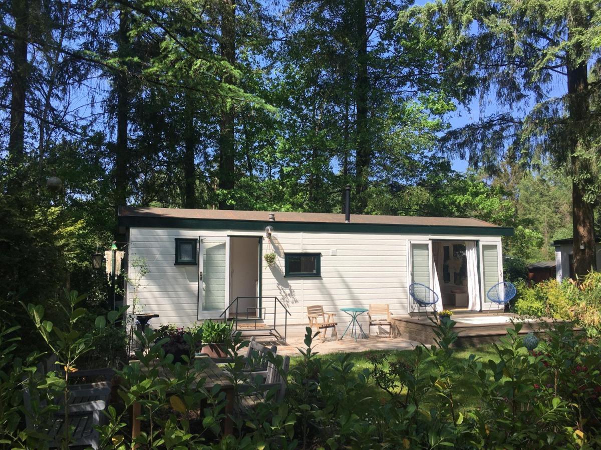 Sfeervol Vakantiehuisje In Bosrijke Omgeving Vorden Extérieur photo