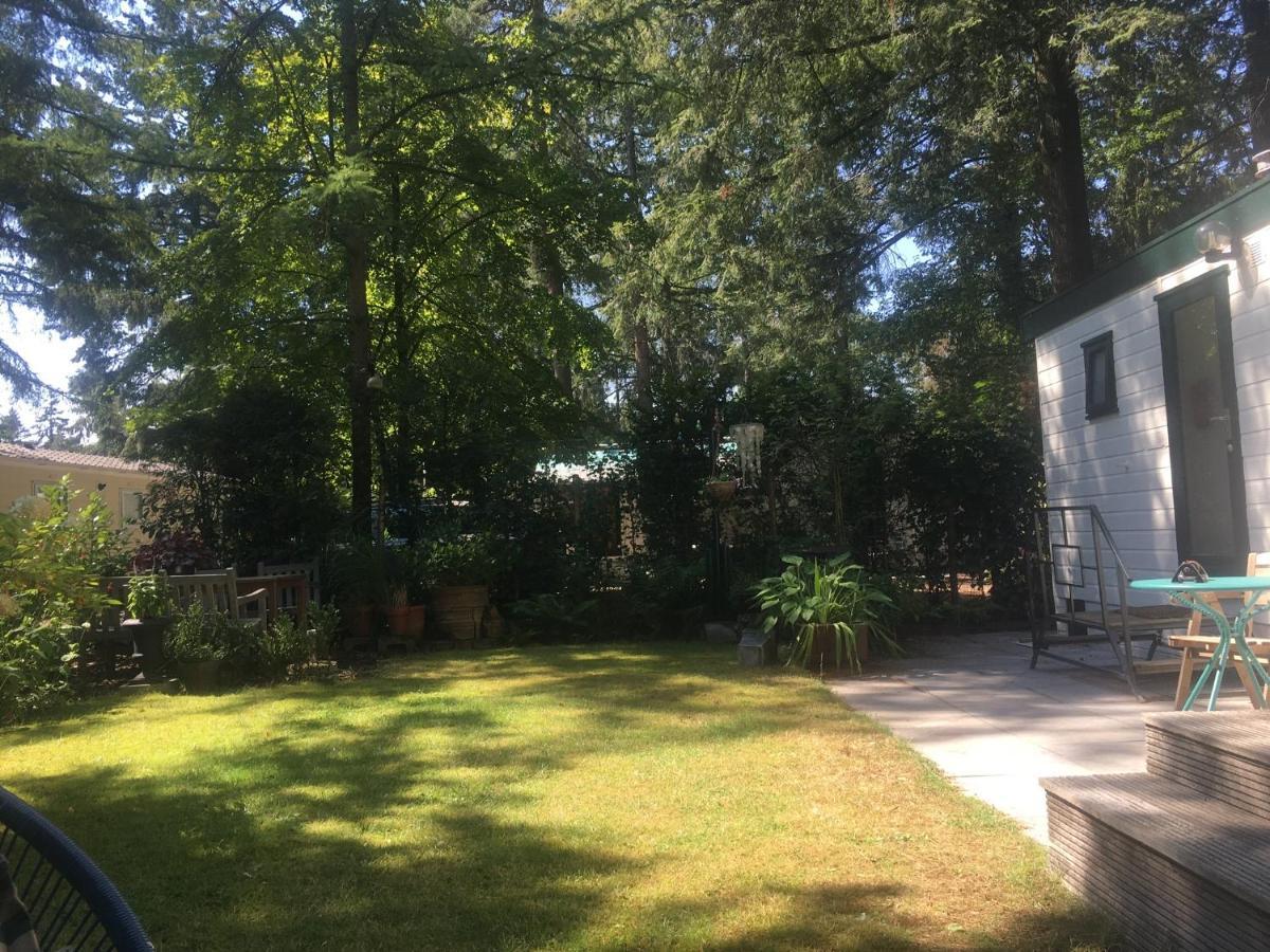 Sfeervol Vakantiehuisje In Bosrijke Omgeving Vorden Extérieur photo