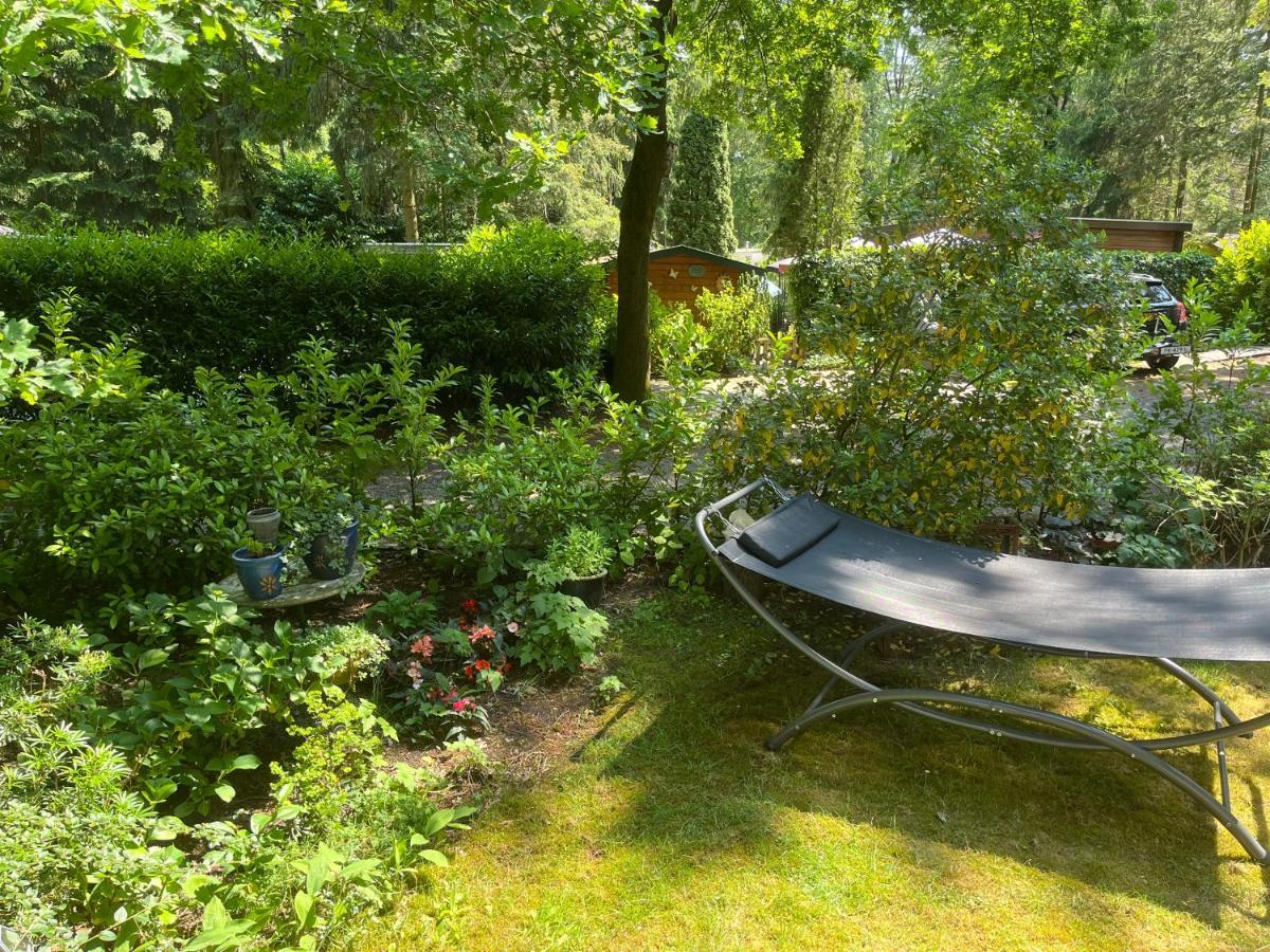 Sfeervol Vakantiehuisje In Bosrijke Omgeving Vorden Extérieur photo
